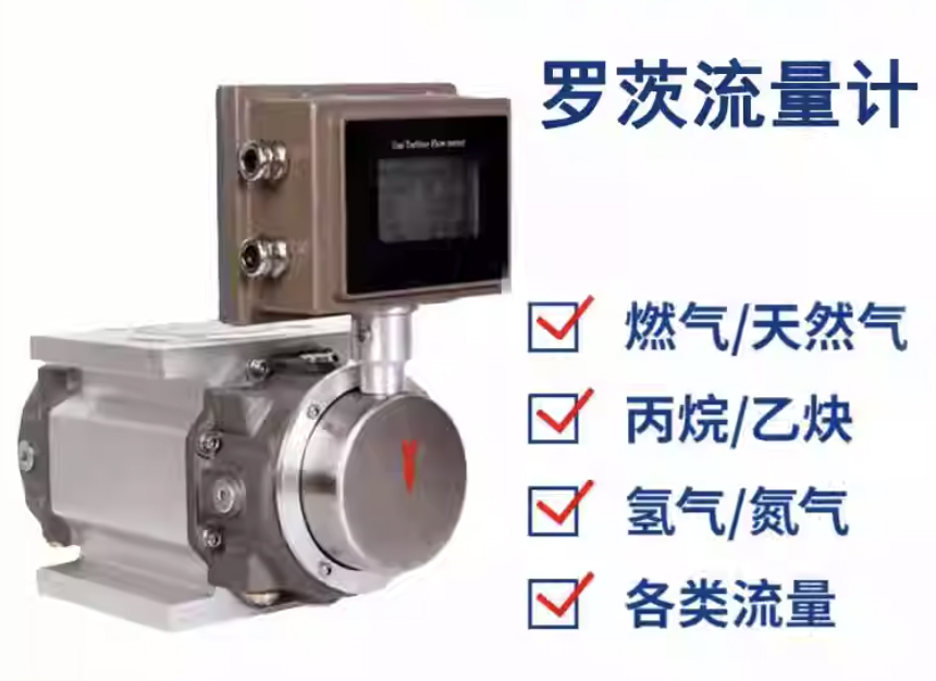 沼氣羅茨流量計