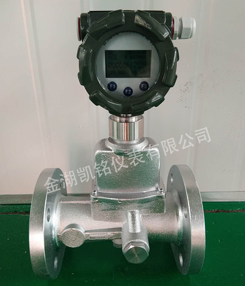 不銹鋼旋進旋渦流量計產(chǎn)品圖